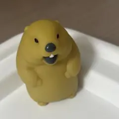 だまることを知らないマーモット