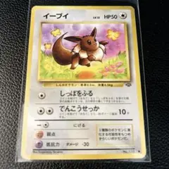 【旧裏ポケカ】　イーブイ