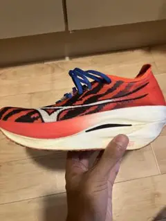 Mizuno ウェーブリベリオンプロ3 26.0