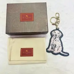 Item thumbnail for item 50f3385a-ca67-4084-a14a-8bd81d0ecb78