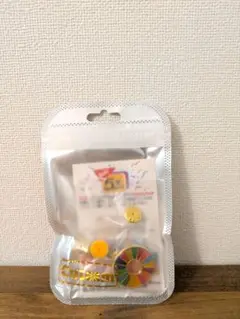 SDGs エスディジーズ バッジ