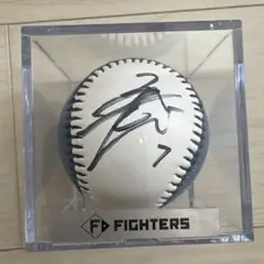 松本剛　日ハム　サインボール　ファイターズ　7