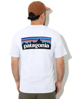 Patagonia パタゴニア　Tシャツ