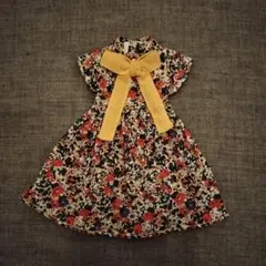 Item thumbnail for item e2ba8822-b132-406b-ae50-ca05dd4132bb