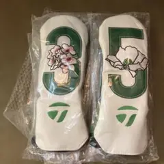 Item thumbnail for item 59d09011-1c61-49ad-9f61-787eb541dd61