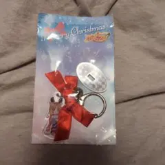 【即購入OK！】クリスマス オーナメントキーホルダー(愛崎えみる)
