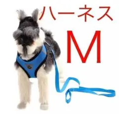 ペット用ハーネス&犬リード (犬用)青色 サイズM