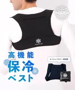 Item thumbnail for item 8884a646-7473-46c2-9935-a1e70195dcfe