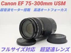 Item thumbnail for item d94b5973-3c48-41a1-97a0-efbf55379f4e