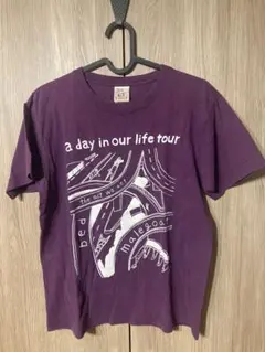【33％値下げ】2012 a day in our life tour Tシャツ