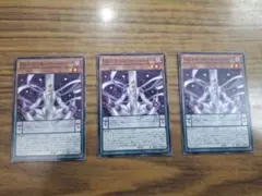 遊戯王　DDスケールサーベイヤー　ノーマル　アジア　3枚セット