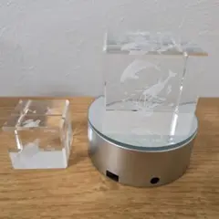 レーザークリスタル　LEDイルミネーションライト　イルカ　カメ　ペーパーウェイト