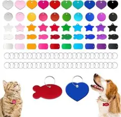Item thumbnail for item f3b726f6-51cd-48ff-821c-280abd0b12df