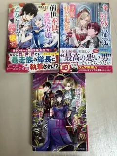 小説 3冊セット ビーズログ文庫 小乃マル 群青みどり