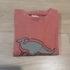 petit main パラサウロロフス Tシャツ 100サイズ