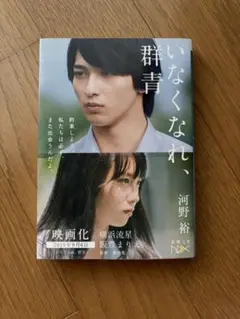 いなくなれ、群青