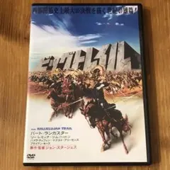 ビッグトレイル DVDケース交換済み ディスク除菌済み
