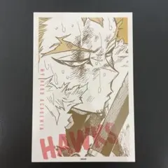 ヒロアカ 原画展 ワンシーンカードコレクション ホークス
