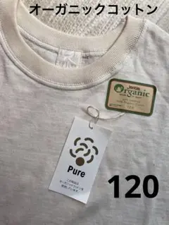 120 久米繊維　オーガニックコットン 100% Tシャツ 生成