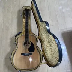 2025年最新】MORRIS B 12弦の人気アイテム - メルカリ