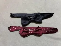 Item thumbnail for item 548cf6b7-4479-450a-a56e-8b5280bd8676