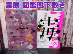 毒展 図鑑風下敷き