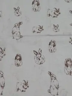 【新品未使用】 ＊＊coniglio＊＊生地幅×１m・店舗完売
