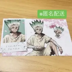 Dr.STONE マルイ 特典 ポストカード イラストカード シール　石神千空