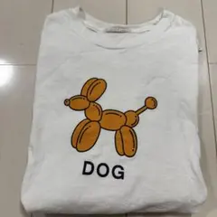 didizizi 犬　ロンT
