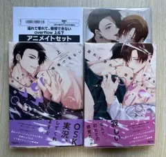 溢れて零れて、我慢できないoverflow上下巻 やまち アニメイトセット