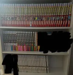 僕のヒーローアカデミア　ファイアパンチ　チェンソーマン鬼滅の刃約束のネバーランド