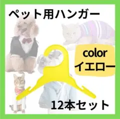 Item thumbnail for item c5bce0da-19ad-44dc-b373-1c5107eb184c