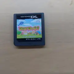 ニンテンドーDSソフト　ぞんびだいすき