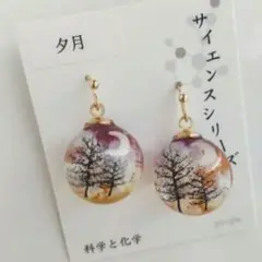 新品　ガーグル　gargle 空もよう ピアス　夕月　サイエンス　化学　科学