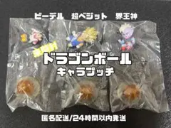 Item thumbnail for item 5885b378-1320-4224-ada1-4b0f966441ab