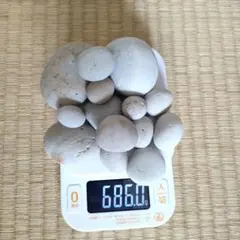 糸魚川　自然石 　丸い石　白系