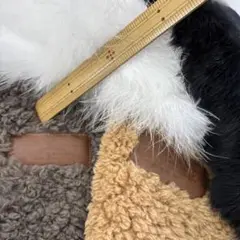 ボア ファー
