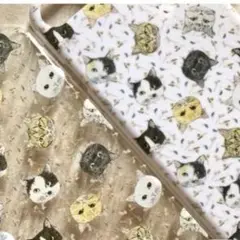 未来で出逢う猫UVプ！ケースクリア（透明）iPhone7/8
