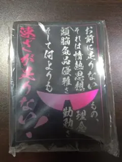 スクライド　ストレイト・クーガー　スリーブ