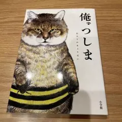 俺、つしま