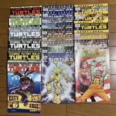 Teenage Mutant Ninja Turtles 複数巻セット　21冊