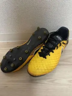 マジスタオーパスAG 日本未発売