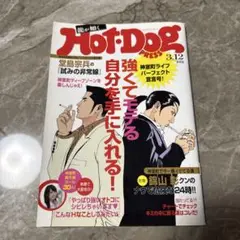 龍が如く0 特典 Hot-Dog PRESS