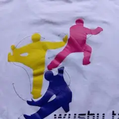 太極拳　Tシャツ　白　　　後ろ身頃に表演図　　半袖　　M寸