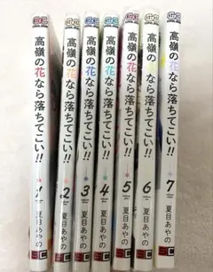高嶺の花なら落ちてこい！！ 1〜7巻セット 夏目あやの　少女漫画