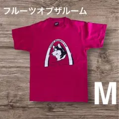 フルーツオブザルーム　Tシャツ 　M　ピンク　ハスキー犬　スクリーンスターズ