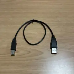USB A - USB Bケーブル 30cm 黒