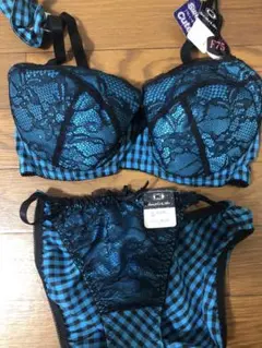 新品 F75 ブラジャー ＆ ショーツ セット シュシュ付き