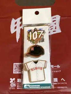 第107回全国高校野球選手権大会　山形県　日大山形　ピンバッジセット