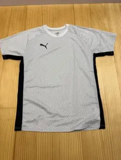 Item thumbnail for item 7126e846-8ec6-400a-a169-de5e2772e86c